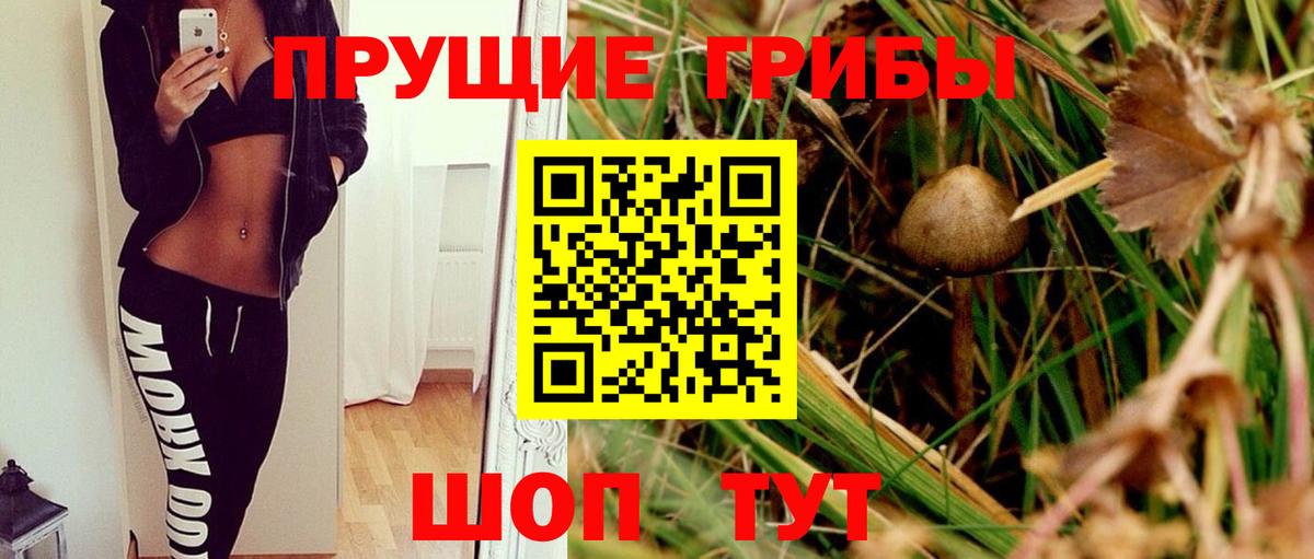 цена наркотик  Галлюциногенные грибы Cubensis  Вход с VPN  Армавир 